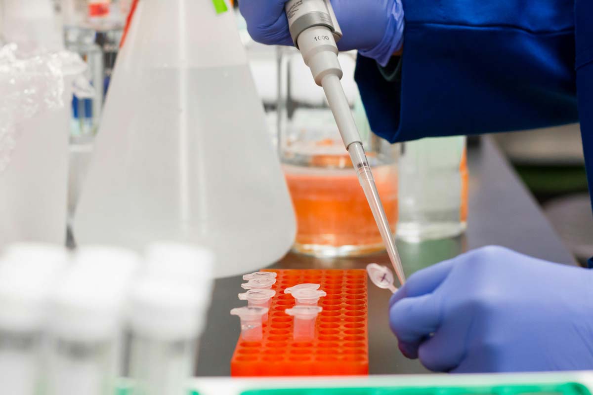 تفاوت علم و دانش: سفری به جهان درک و اکتشاف 2 science labs